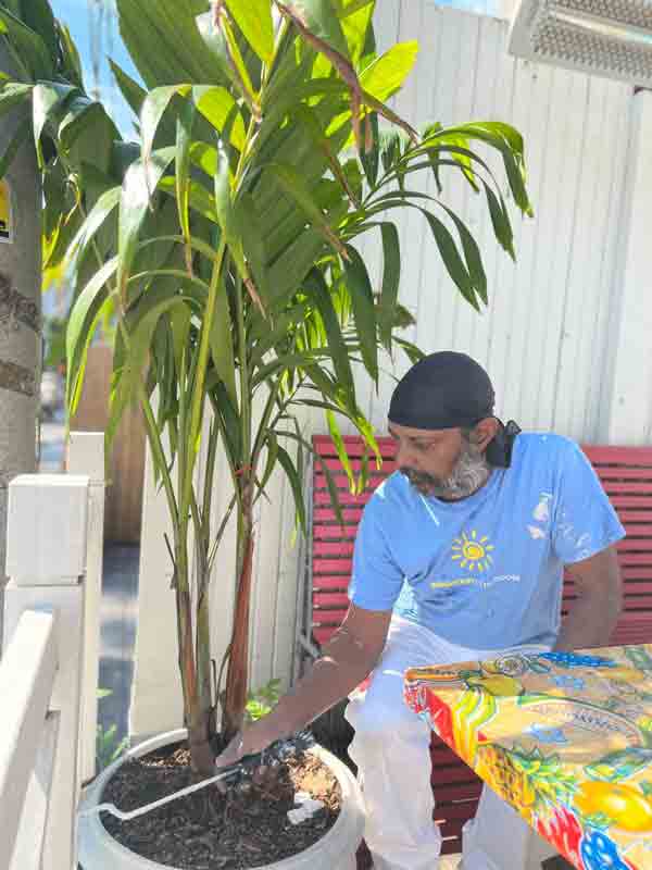 Restaurant — photo 3