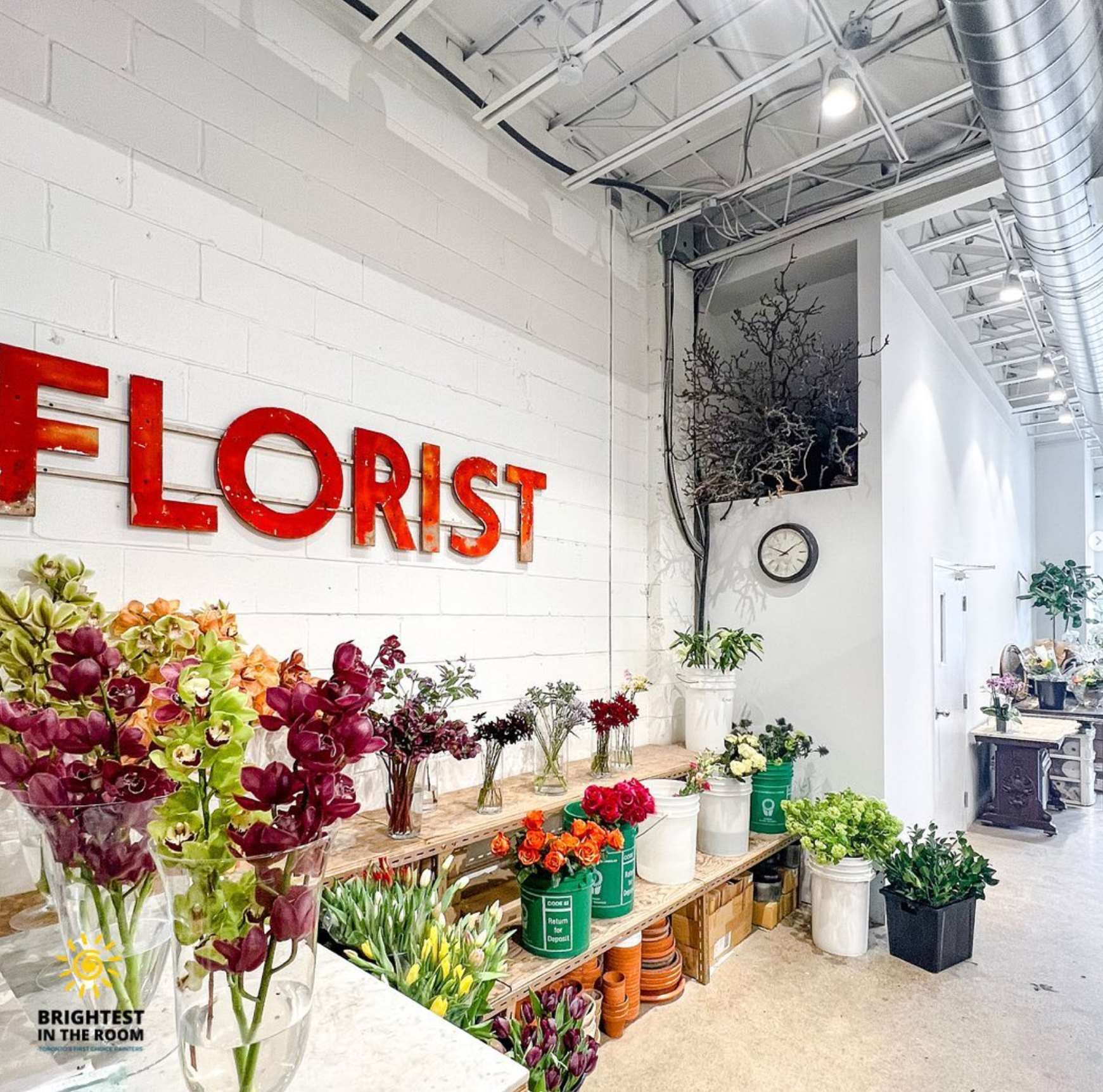 Florist Painting Project | Brightest In The Room Work